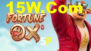 Premium Interface 5P